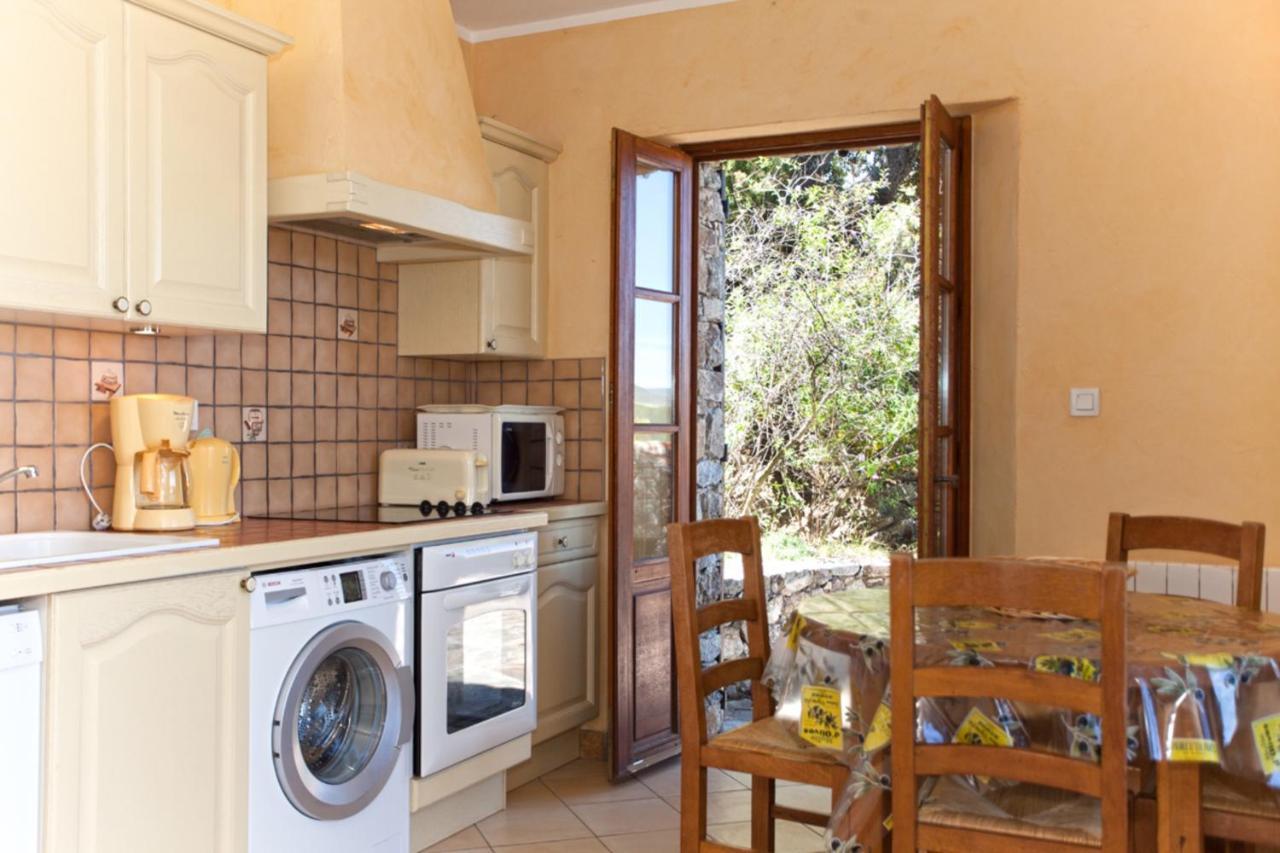 Apartament Campu Latinu Lama Zewnętrze zdjęcie